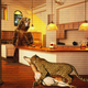 Two cast members have a heated argument on The Animal Planet's new reality show<I> The Zoo.</I>